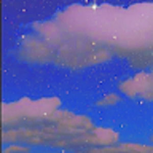 Meet your Posher, Dominique